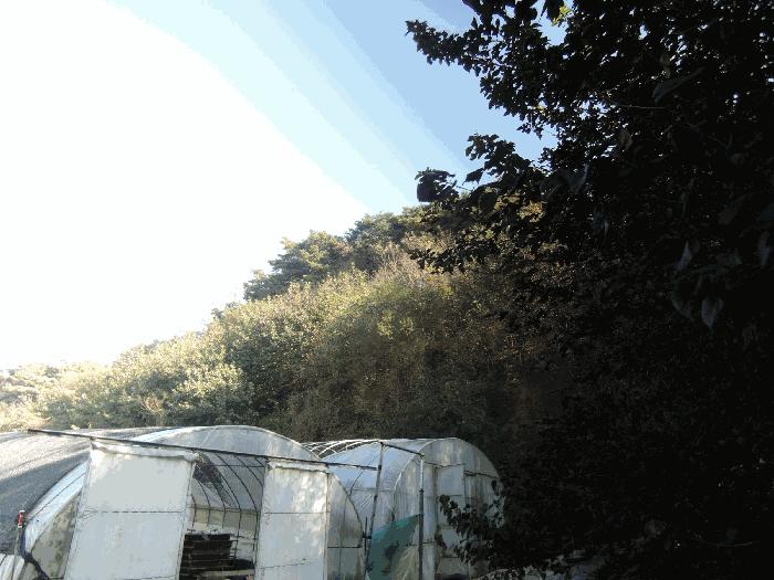 충청남도 홍성군 결성면 형산리 517-12 목장용지 경매 사진 2