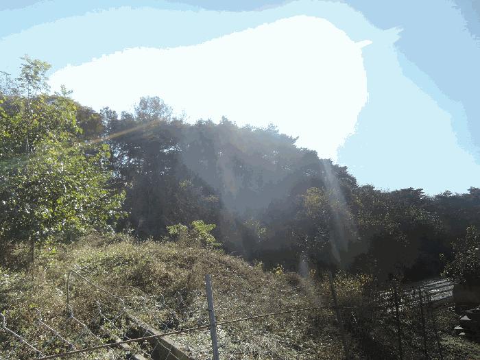 충청남도 홍성군 결성면 형산리 517-12 목장용지 경매 사진 4