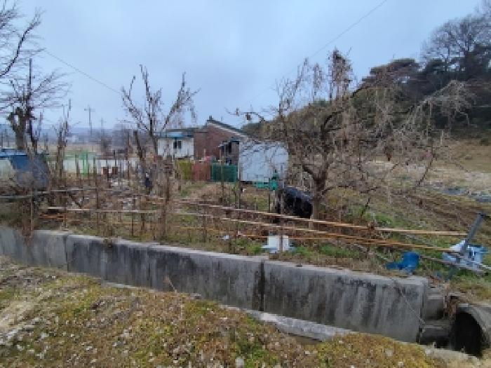 충청남도 홍성군 구항면 오봉리 204-2 전 경매 사진 10