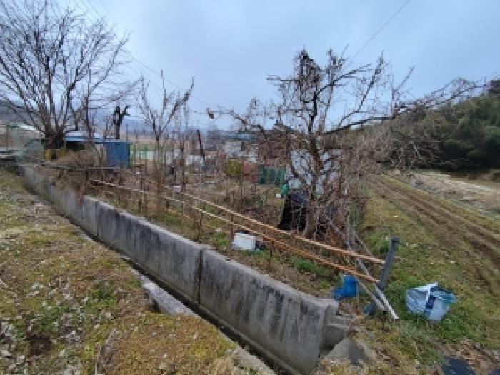 충청남도 홍성군 구항면 오봉리 204-2 전 경매 사진 11