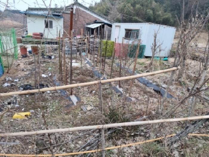 충청남도 홍성군 구항면 오봉리 204-2 전 경매 사진 12