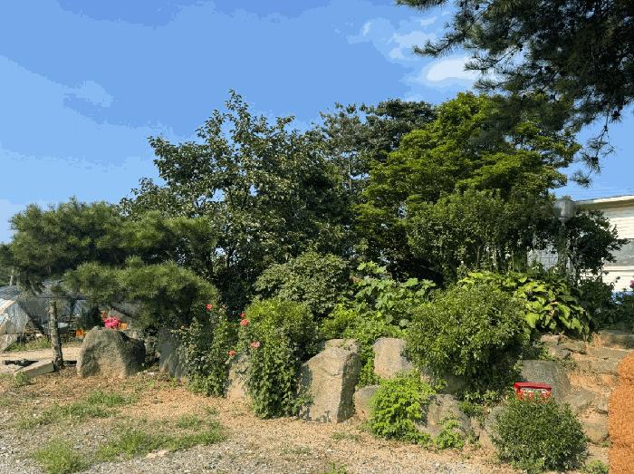 충청남도 예산군 신암면 오산리 560-1 대지 경매 사진 9