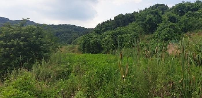 충청남도 예산군 광시면 관음리 202-7 답 경매 사진 17