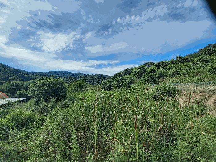 충청남도 예산군 광시면 관음리 202-7 답 경매 사진 5