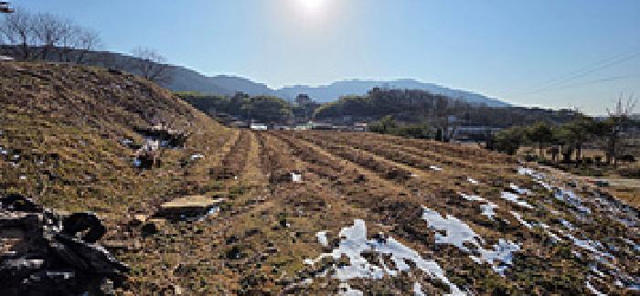 충청남도 홍성군 장곡면 신풍리 588-3 전 경매 사진 11