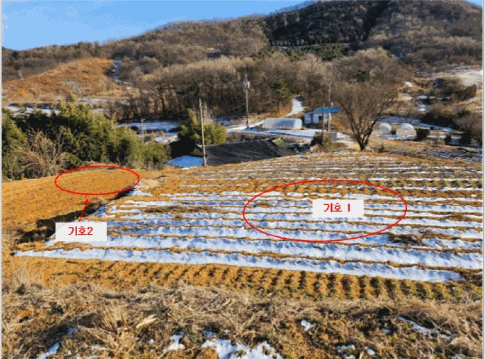 충청남도 홍성군 장곡면 신풍리 97-1 전 경매 사진 1