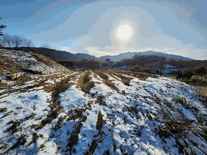 충청남도 홍성군 장곡면 신풍리 97-1 전 경매 사진 8