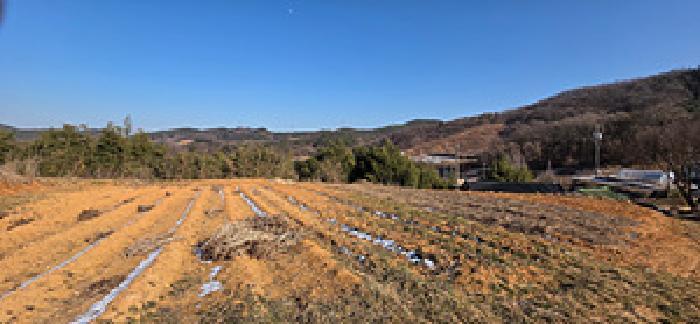 충청남도 홍성군 장곡면 신풍리 97-1 전 경매 사진 9