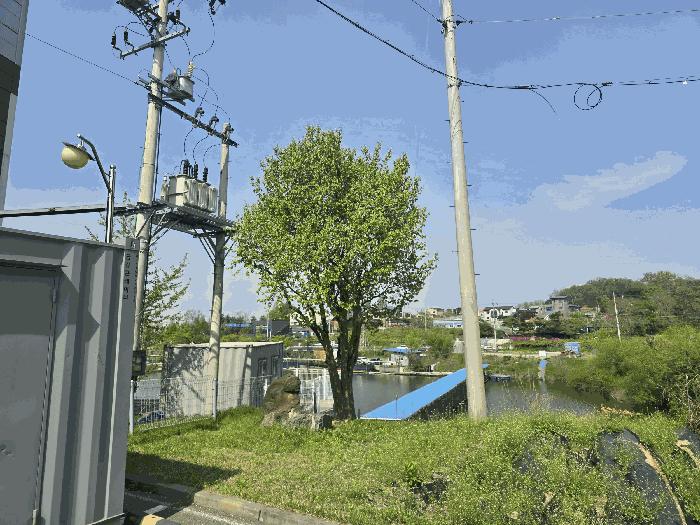 경기도 평택시 월곡동 350-16 공장 경매 사진 3