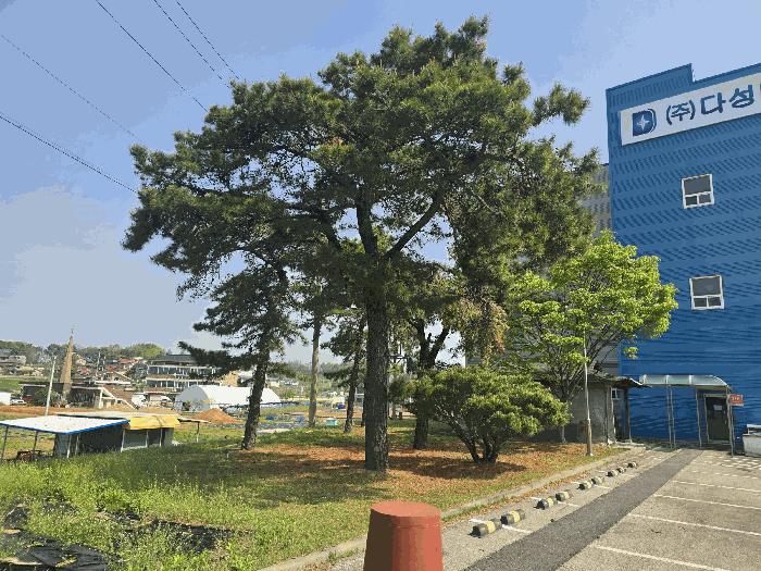 경기도 평택시 월곡동 350-16 공장 경매 사진 8
