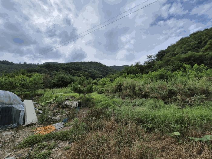강원특별자치도 영월군 산솔면 직동리 444 대지 경매 사진 1