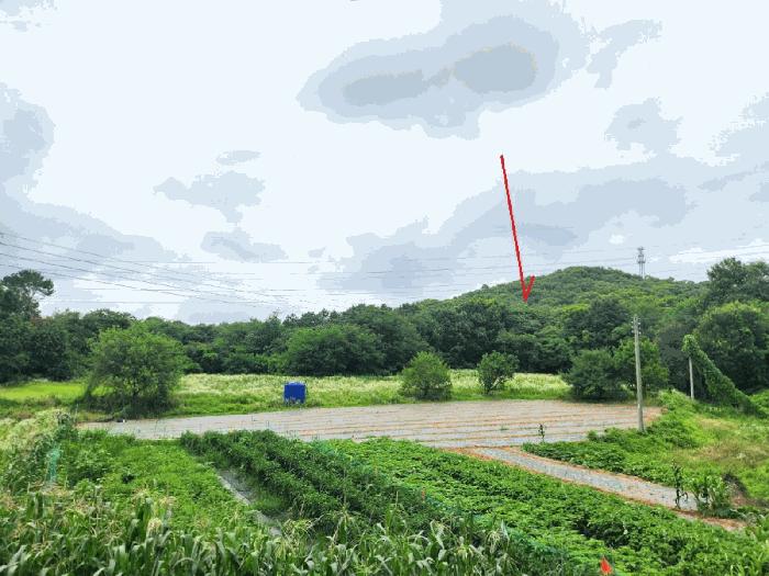 경기도 평택시 청북읍 옥길리 산22-6 임야 경매 사진 2