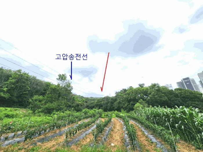 경기도 평택시 청북읍 옥길리 산22-6 임야 경매 사진 4