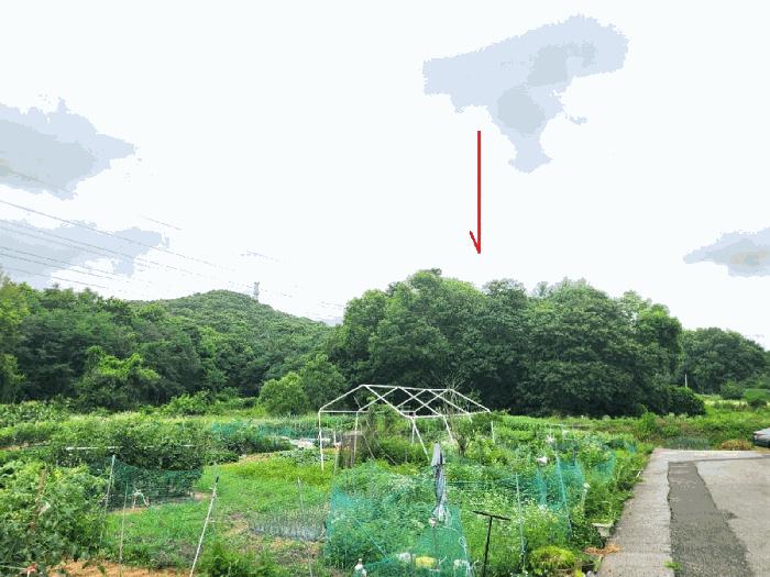 경기도 평택시 청북읍 옥길리 산22-6 임야 경매 사진 7