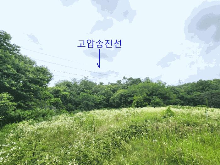 경기도 평택시 청북읍 옥길리 산22-6 임야 경매 사진 8