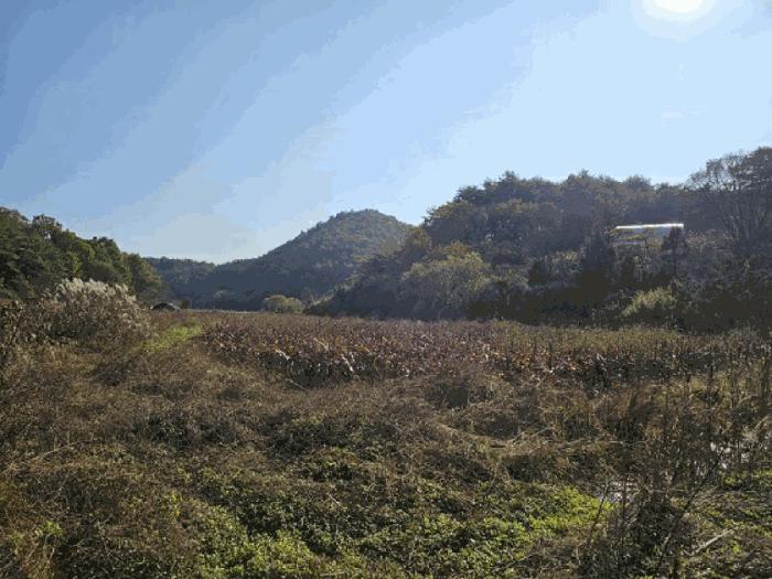 강원특별자치도 영월군 남면 토교리 324 답 경매 사진 5