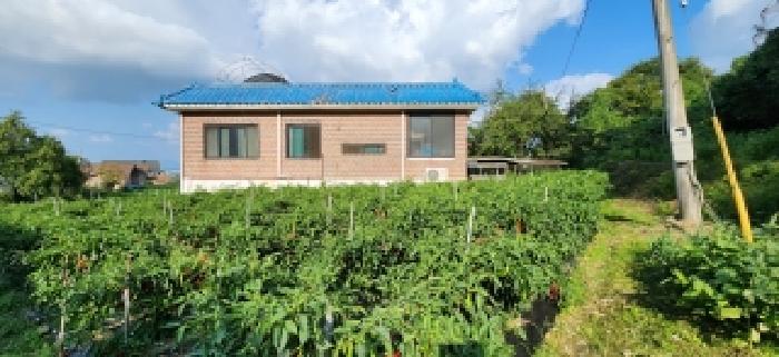 경기도 양주시 백석읍 가업리 197-16 임야 경매 사진 10