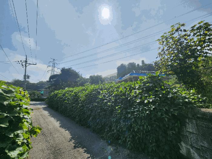 경기도 양주시 백석읍 가업리 197-16 임야 경매 사진 5