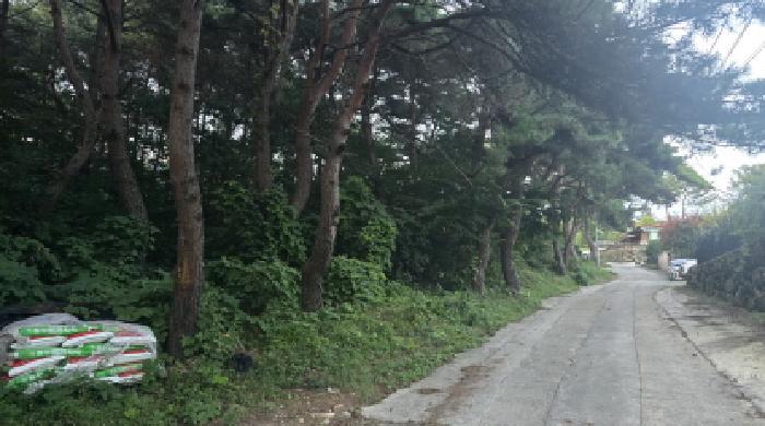 경상북도 칠곡군 동명면 득명리 286-28 임야 경매 사진 12