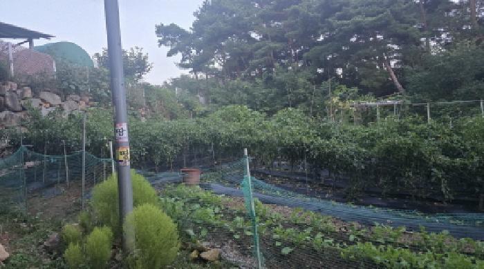 경상북도 칠곡군 동명면 득명리 286-28 임야 경매 사진 9