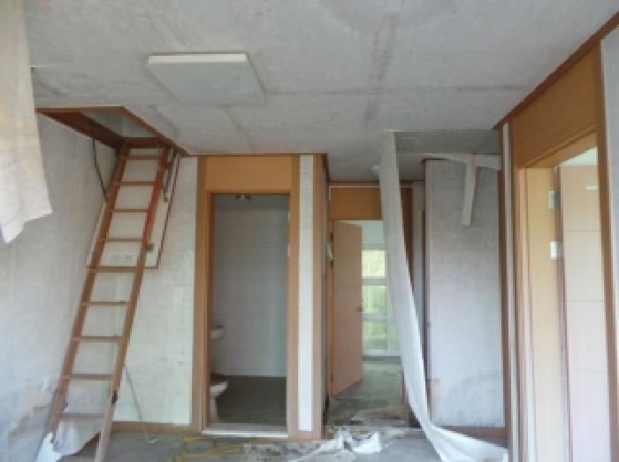 강원특별자치도 평창군 봉평면 평촌리 622-3 1층101호 다세대(빌라) 경매 사진 17