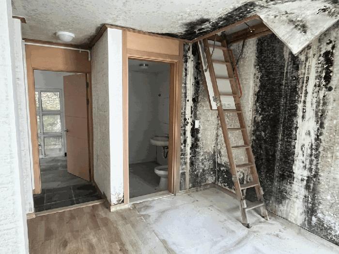 강원특별자치도 평창군 봉평면 평촌리 622-3 1층101호 다세대(빌라) 경매 사진 3