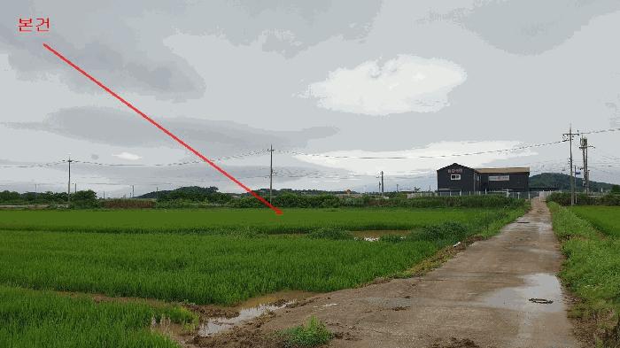 경기도 평택시 현덕면 대안리 114 답 경매 사진 1