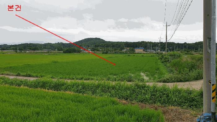 경기도 평택시 현덕면 대안리 114 답 경매 사진 3