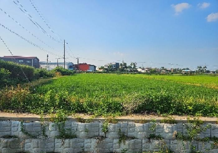 경기도 평택시 현덕면 대안리 114 답 경매 사진 4