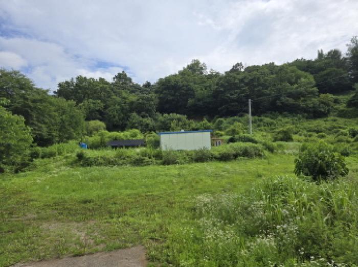 경상북도 영천시 고경면 삼산리 363 답 경매 사진 13