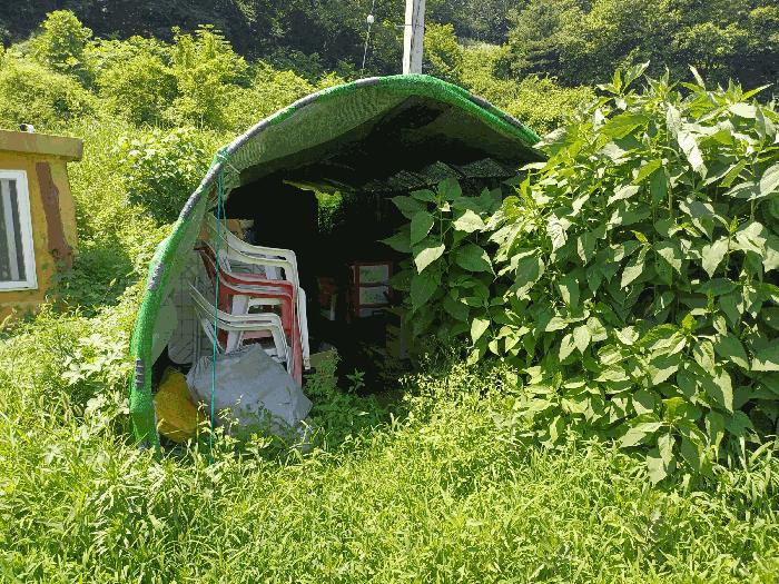 경상북도 영천시 고경면 삼산리 363 답 경매 사진 2