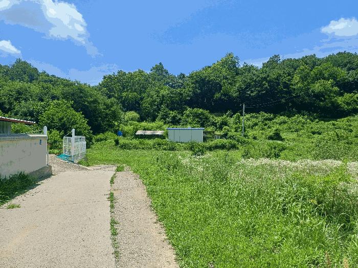 경상북도 영천시 고경면 삼산리 363 답 경매 사진 3