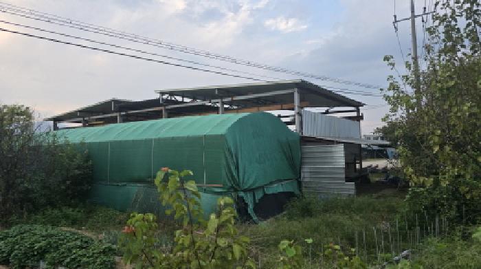 경상북도 칠곡군 약목면 덕산리 512-33 목장용지 경매 사진 13