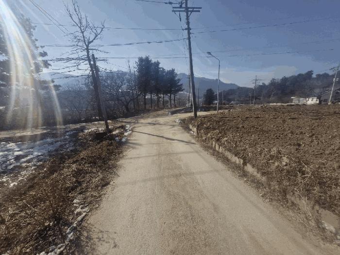 강원특별자치도 평창군 용평면 재산리 1351-23 전 경매 사진 3