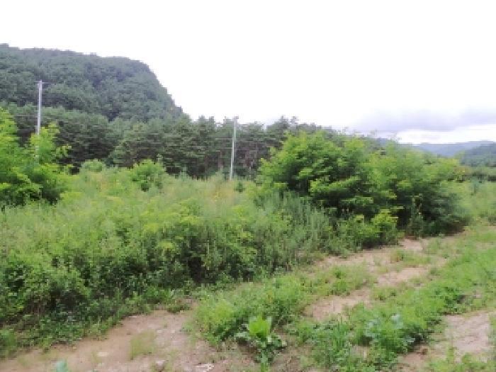 강원특별자치도 평창군 진부면 간평리 90-7 전 경매 사진 16
