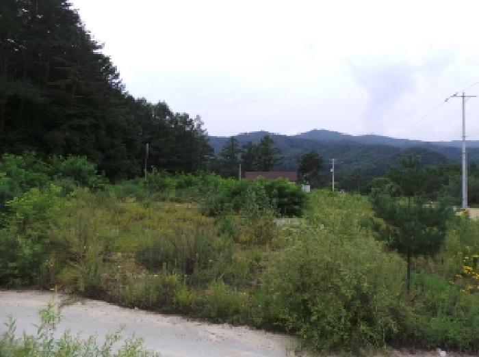 강원특별자치도 평창군 진부면 간평리 90-7 전 경매 사진 18