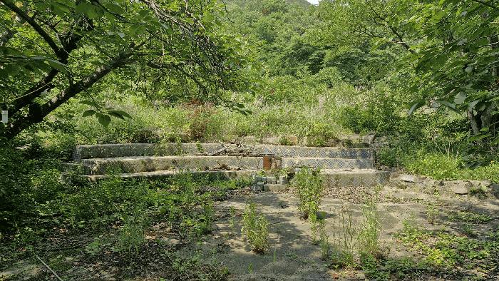 경상북도 경주시 내남면 화곡리 316-1 전 경매 사진 10