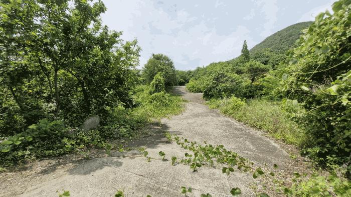 경상북도 경주시 내남면 화곡리 316-1 전 경매 사진 2