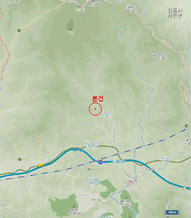 강원특별자치도 평창군 대관령면 차항리 134-84 임야 경매 사진 5