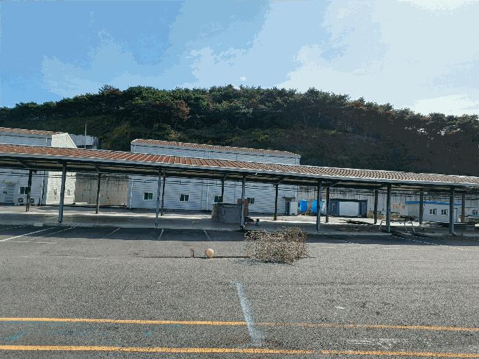 경상북도 경주시 현곡면 오류리 산23-14 임야 경매 사진 3