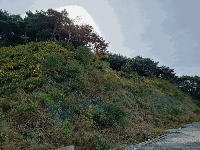 경상북도 경주시 현곡면 오류리 산23-14 임야 경매 사진 6