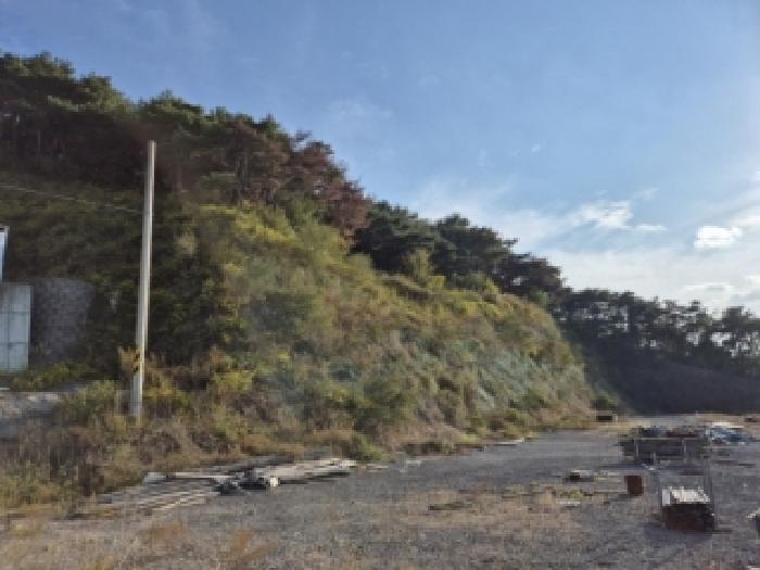 경상북도 경주시 현곡면 오류리 산23-14 임야 경매 사진 7