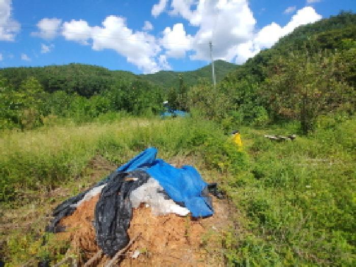 충청남도 금산군 군북면 상곡리 204-2 전 경매 사진 10
