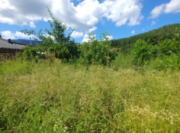 충청남도 금산군 군북면 상곡리 204-2 전 경매 사진 11