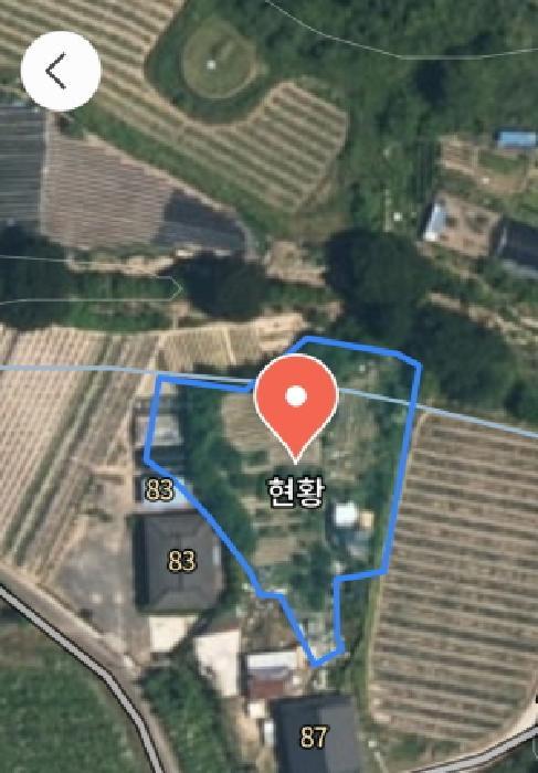 충청남도 금산군 군북면 상곡리 204-2 전 경매 사진 17