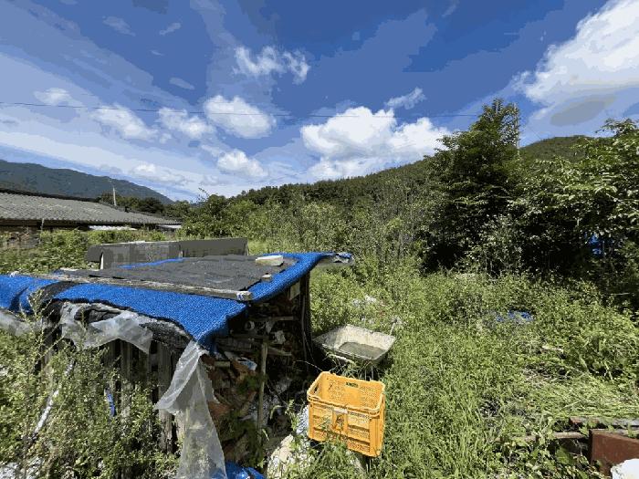 충청남도 금산군 군북면 상곡리 204-2 전 경매 사진 2