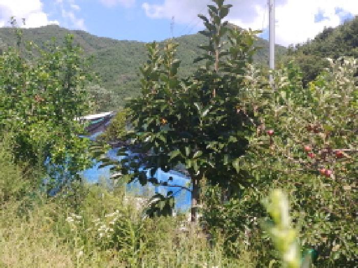 충청남도 금산군 군북면 상곡리 204-2 전 경매 사진 20