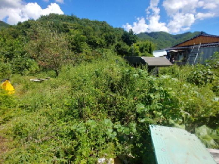 충청남도 금산군 군북면 상곡리 204-2 전 경매 사진 9