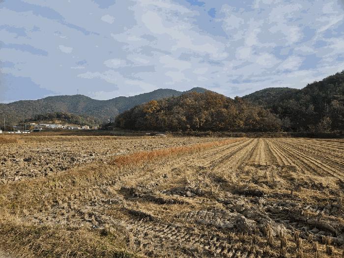경상북도 경주시 현곡면 오류리 446 답 경매 사진 1