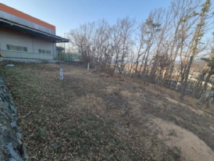 경상북도 경주시 내남면 월산리 1224-23 전 경매 사진 3